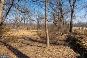 1116 Tinker Hill Ln, Malvern, PA 19355 - Photo 45