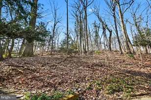 542 Upper Weadley Rd, Wayne, PA 19087 - Photo 45