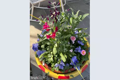 322 Devon State Road, Devon, PA 19333 - Photo 45