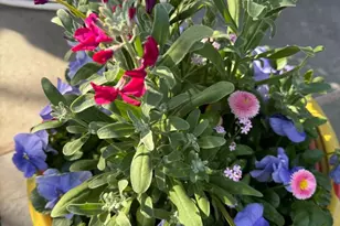 322 Devon State Rd, Devon, PA 19333 - Photo 45