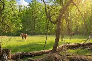 1258 Jaine Ln, Chester Springs, PA 19425 - Photo 29