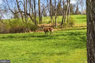 916 General Howe Dr, West Chester, PA 19382 - Photo 123