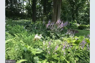 117 Creamery Road, Elverson, PA 19520 - Photo 63