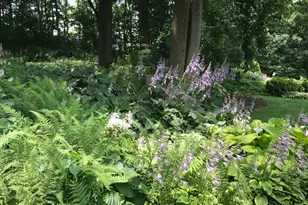 117 Creamery Rd, Elverson, PA 19520 - Photo 63