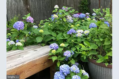 56 Cobblestone Drive, Paoli, PA 19301 - Photo 33