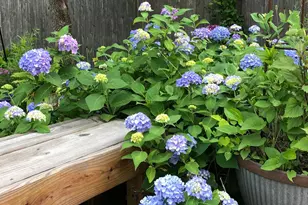 56 Cobblestone Dr, Paoli, PA 19301 - Photo 33