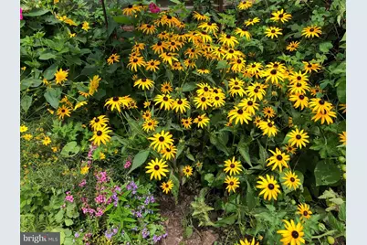 56 Cobblestone Drive, Paoli, PA 19301 - Photo 27