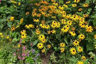 56 Cobblestone Dr, Paoli, PA 19301 - Photo 27