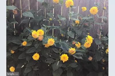 56 Cobblestone Drive, Paoli, PA 19301 - Photo 31