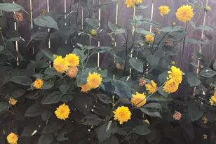 56 Cobblestone Dr, Paoli, PA 19301 - Photo 31