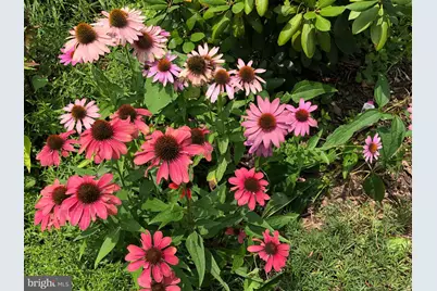 56 Cobblestone Drive, Paoli, PA 19301 - Photo 29