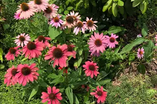 56 Cobblestone Dr, Paoli, PA 19301 - Photo 29