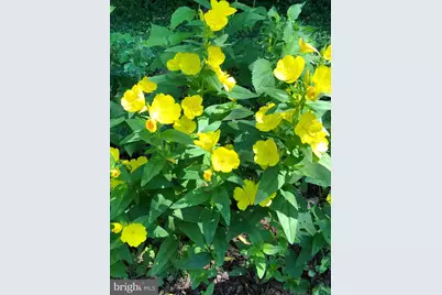 56 Cobblestone Drive, Paoli, PA 19301 - Photo 35