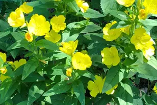 56 Cobblestone Dr, Paoli, PA 19301 - Photo 35