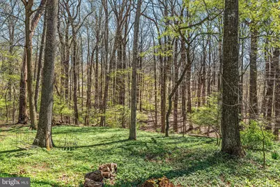 6 Cypress Lane, Berwyn, PA 19312 - Photo 25