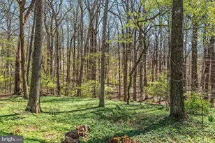 6 Cypress Ln, Berwyn, PA 19312 - Photo 25