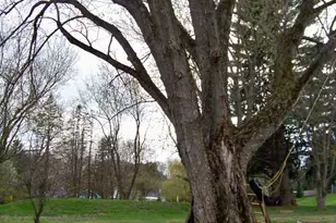 1416 Horseshoe Pike, Glenmoore, PA 19343 - Photo 9