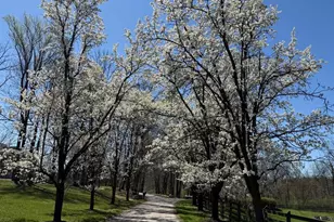 1771 Indian Run Rd, Malvern, PA 19355 - Photo 49