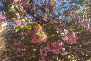 1771 Indian Run Rd, Malvern, PA 19355 - Photo 51