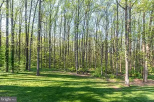1813 Alyssa Ln, Pottstown, PA 19465 - Photo 53