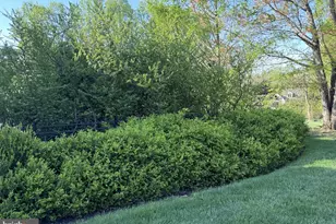 104 Indian Springs Rd, Kennett Square, PA 19348 - Photo 99