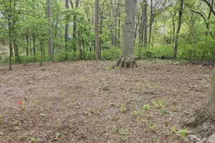 Lot 1B Lisadell Dr, Kennett Square, PA 19348 - Photo 51