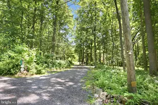 1242 Jaine Ln, Chester Springs, PA 19425 - Photo 53
