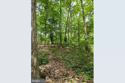 294 Old Racetrack Road, Parkesburg, PA 19365 - Photo 3
