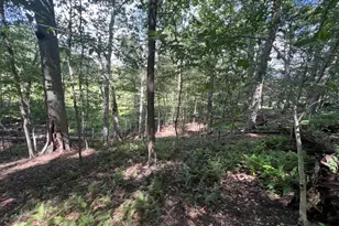 217 Buck Toe Rd, Avondale, PA 19311 - Photo 43