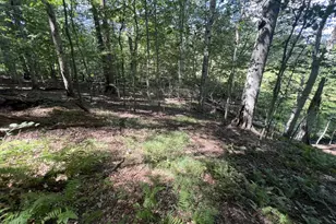 217 Buck Toe Rd, Avondale, PA 19311 - Photo 45