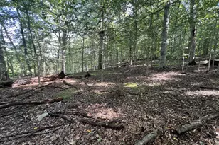 217 Buck Toe Rd, Avondale, PA 19311 - Photo 11