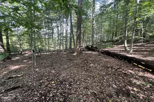 217 Buck Toe Rd, Avondale, PA 19311 - Photo 41