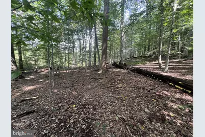 217 Bucktoe Road, Avondale, PA 19311 - Photo 33