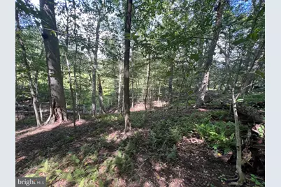 217 Bucktoe Road, Avondale, PA 19311 - Photo 35