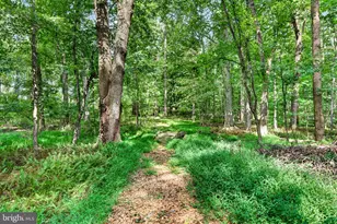 115 Windy Hill Rd, Downingtown, PA 19335 - Photo 51