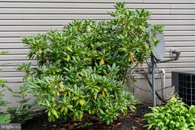 102 Autumn Trl, Coatesville, PA 19320 - Photo 51