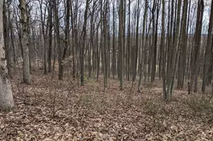 1798 Cold Springs Park, Pottstown, PA 19465 - Photo 27