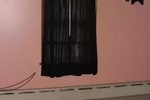 144 East St, Williamstown, PA 17098 - Photo 47