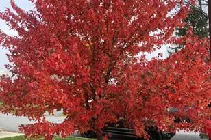 6321 Huntingdon St, Harrisburg, PA 17111 - Photo 15