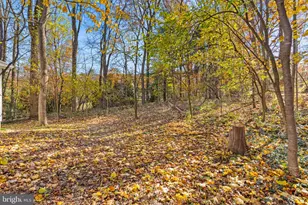 560 Hill Church Rd, Hummelstown, PA 17036 - Photo 59