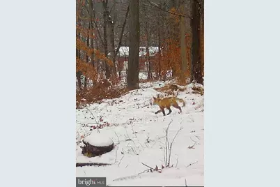 920 Cola Road, Middletown, PA 17057 - Photo 17