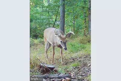 920 Cola Road, Middletown, PA 17057 - Photo 13