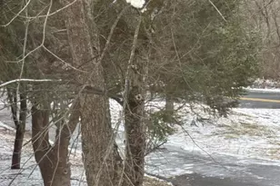 1421 Earlys Mill Rd, Palmyra, PA 17078 - Photo 63