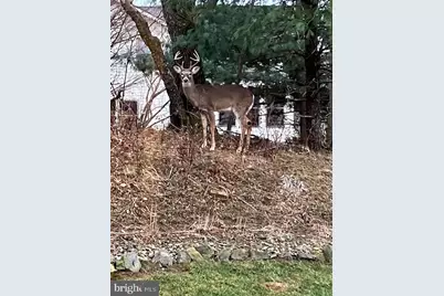 2163 Bordeaux Court, Harrisburg, PA 17112 - Photo 35