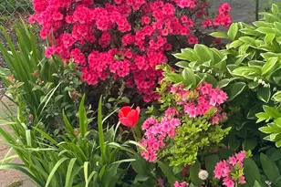 4061 Locust Ln, Harrisburg, PA 17109 - Photo 69