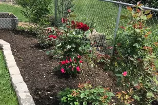 4061 Locust Ln, Harrisburg, PA 17109 - Photo 55