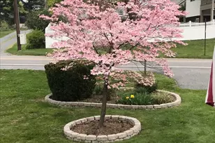 4061 Locust Ln, Harrisburg, PA 17109 - Photo 53