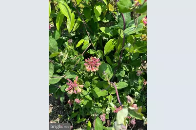 4061 Locust Lane, Harrisburg, PA 17109 - Photo 51