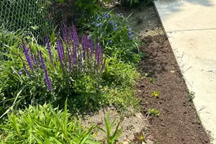 4061 Locust Ln, Harrisburg, PA 17109 - Photo 59