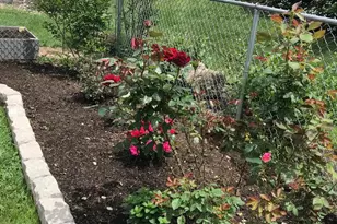 4061 Locust Ln, Harrisburg, PA 17109 - Photo 63